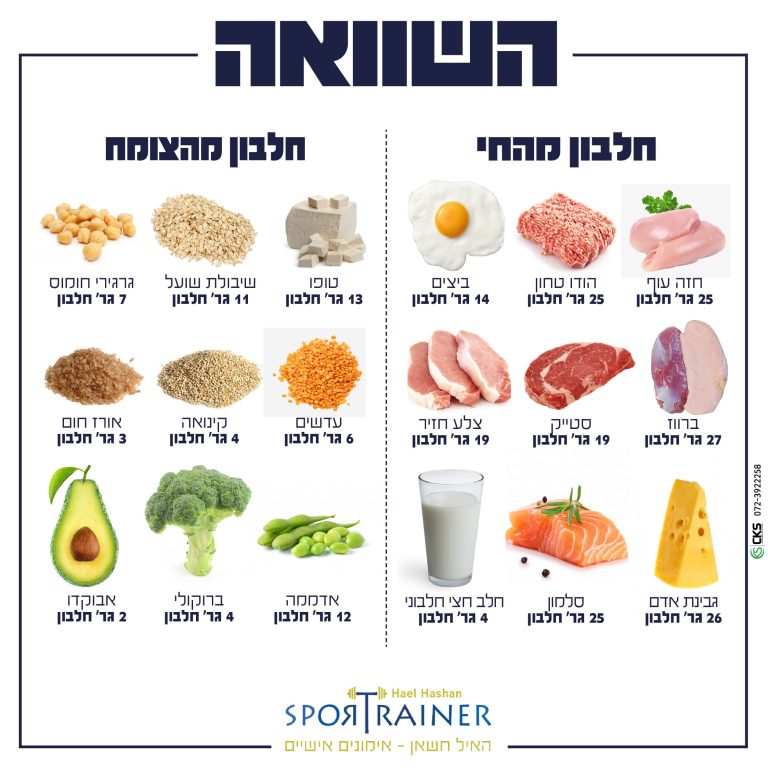 השוואה2-01