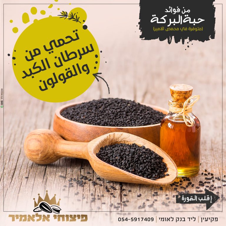 חבת אלברקה 6