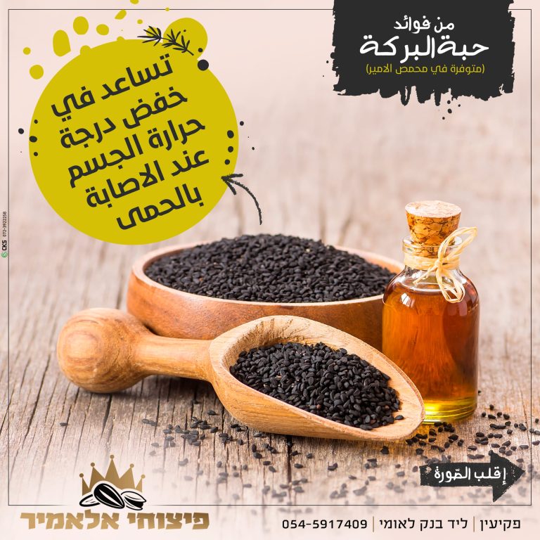חבת אלברקה 9