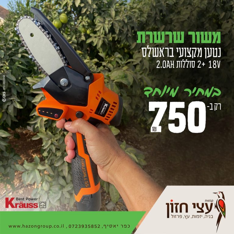 מסור שרשרת