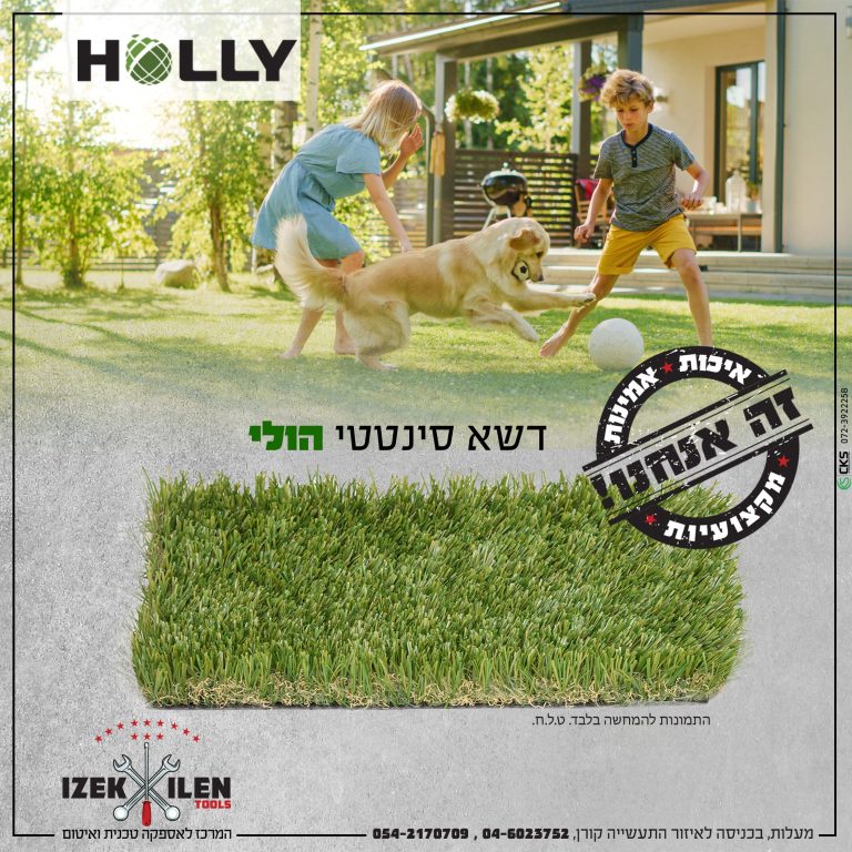 ‏‏דשא סינטטי הולי