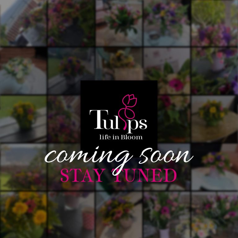 coming soon copy